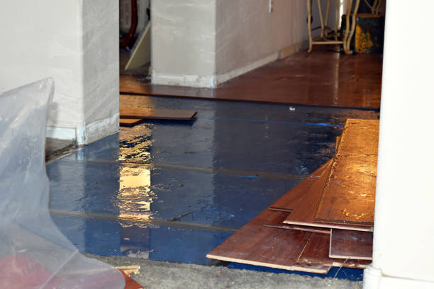 Professional Water Damage Repair technician working in South Bend, WA
